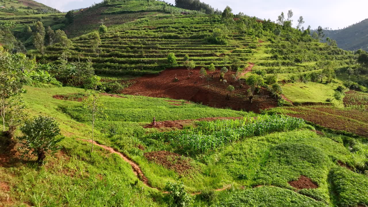 Dronevideo laag over de dalbodem in Rwanda