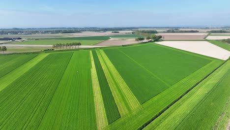 Flying-over-green-farmland-on-a-sunny-day