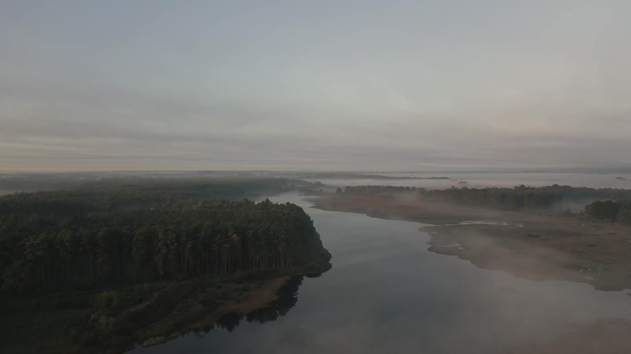 강과 숲 위의 안개가 가득한 아침