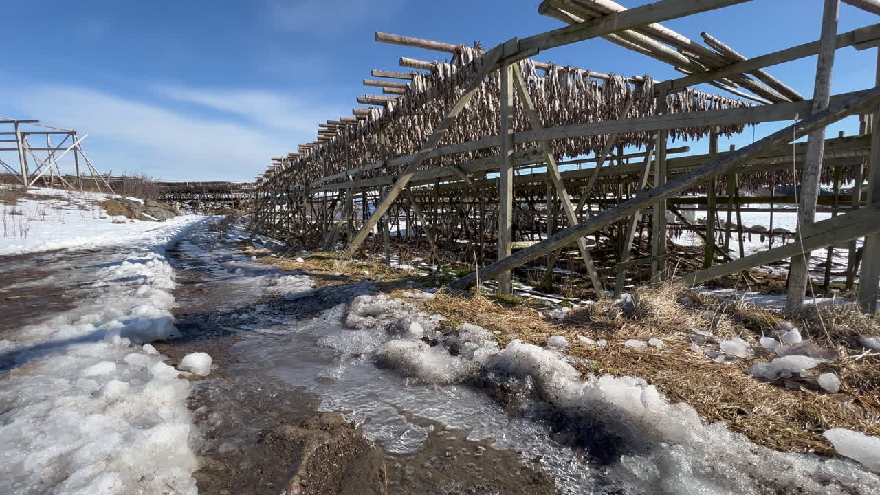 burbujas de aire moviéndose debajo del hielo frente a pescado seco colgado en bastidores de madera