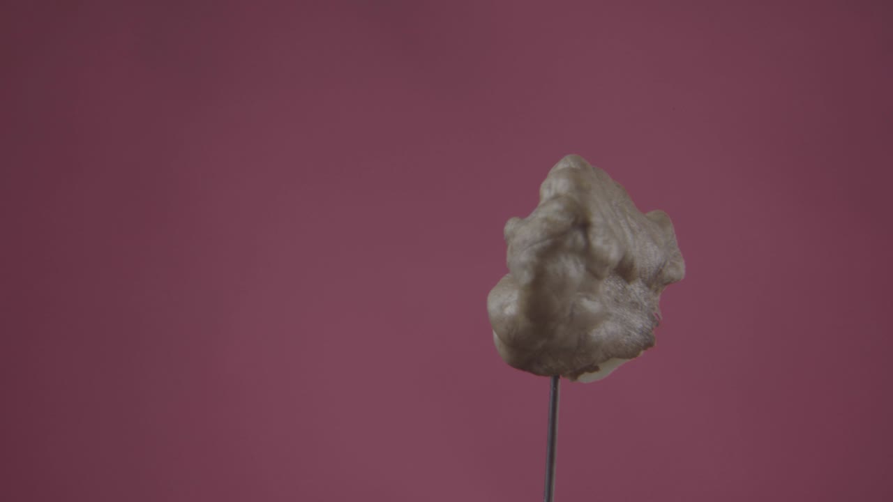 크로마 키를 위한 푸키아 스크린에 루프로 회전하는 견과류