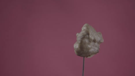 nuez girando con bucle en la pantalla de fucsia para la llave de croma