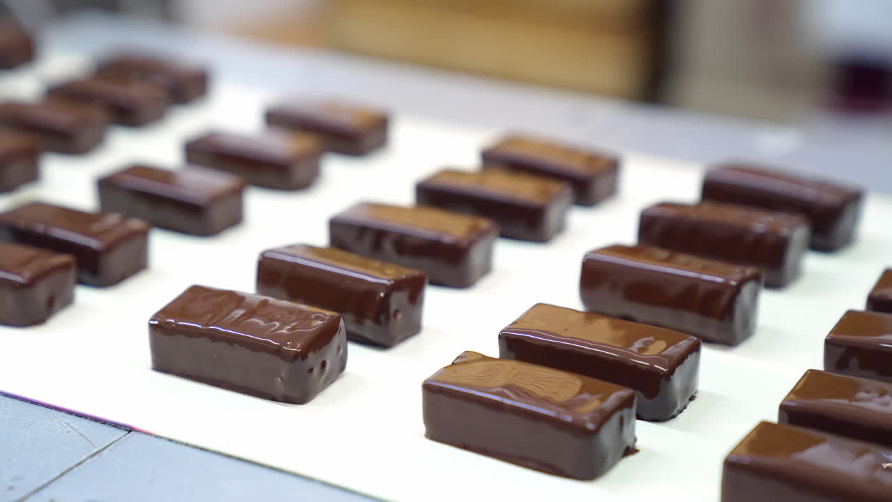 Automatic moving assembly line with mouth-watering chocolate candies. Fresh sweets on the conveyor. Production line for the production of chocolates.