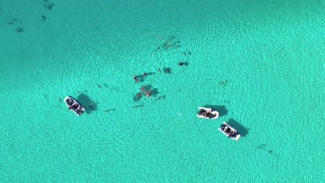 Boote-Und-Schnorchler-Schwimmen-In-Der-Lagune-Mit-Stachelrochen-Und-Haien-In-Moorea,-Französisch-Polynesien