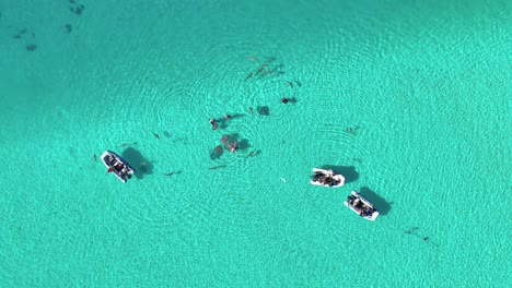 boats and snorkelers swimming in lagoon with stingrays and sharks in moorea, french polynesia