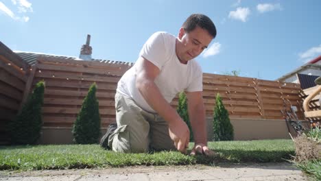 gardener laying lawn in private yard with wooden fence