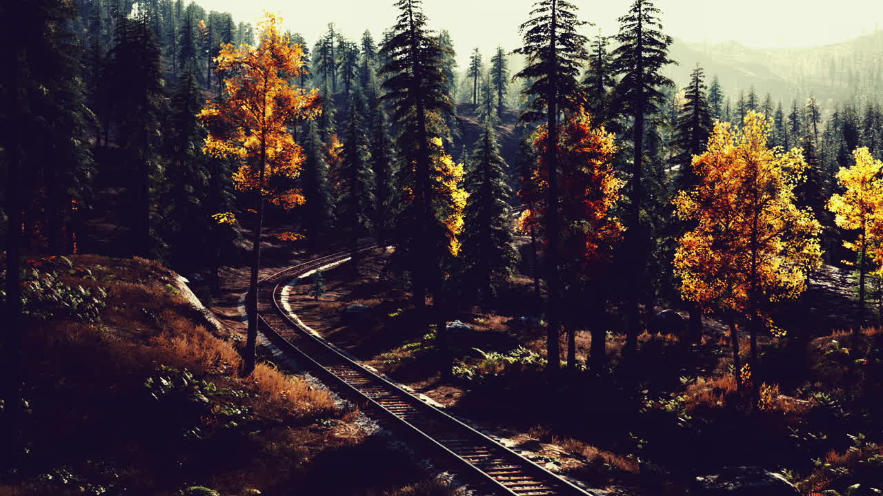 가을 에 숲 을 가로지르는 철도 철도