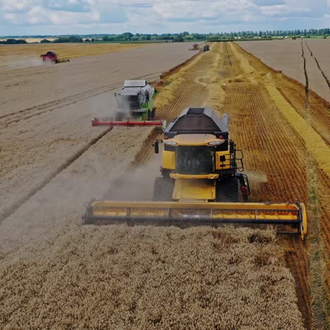 aerial view of combine harvesting grain