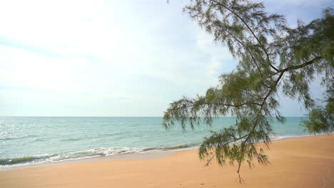 Generic,-yellow-sandy-beach-line-without-people-tree-branch-in-the-foreground