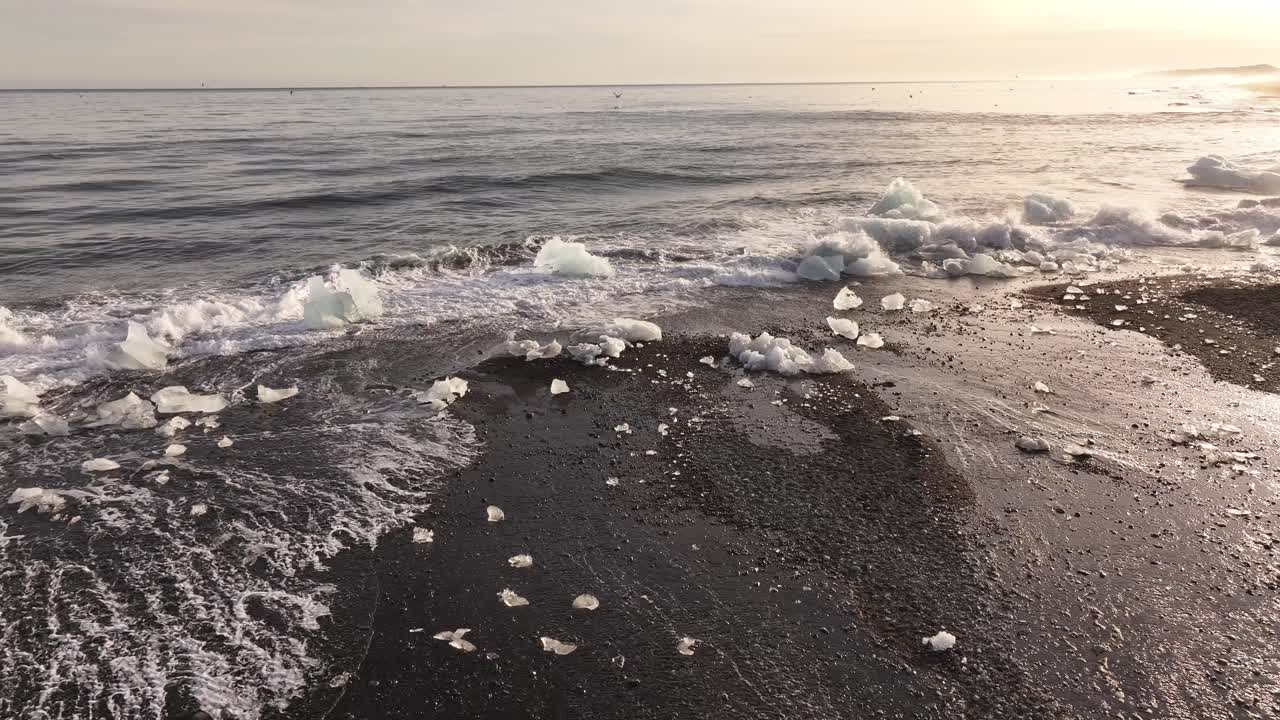 chunks of glacial ice rest on wet volcanic shore at golden hour iceland