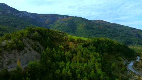 Aerial-view-flying-over-the-meadow