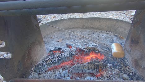 roasting a large tasty marshmallow over a campfire