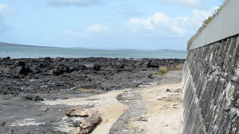 Sendero-Para-Caminar-A-Lo-Largo-De-La-Costa-Norte-De-Auckland,-Donde-El-Estrato-De-Roca-Volcánica-Se-Encuentra-Con-El-Océano-Pacífico-Turquesa