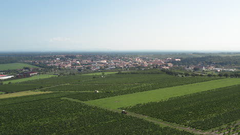 countryside town of valtice in moravia with green agricultural fields