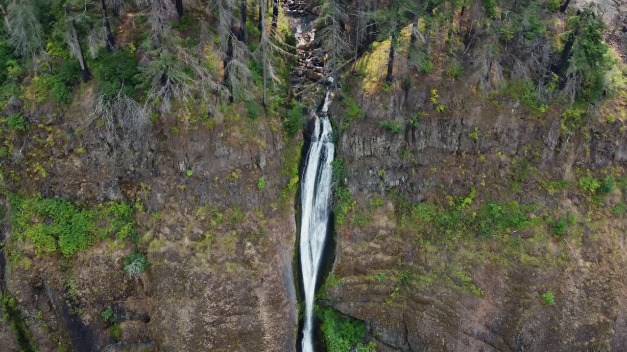 disparo de un dron que revela una alta cascada que cae sobre el acantilado en el desfiladero del río columbia en oregon