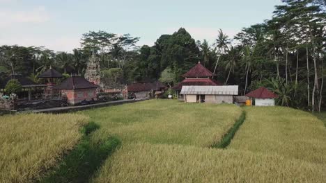 Aerial-view-of-rice-terraces-and-flying-over-houses-in-the-jungle