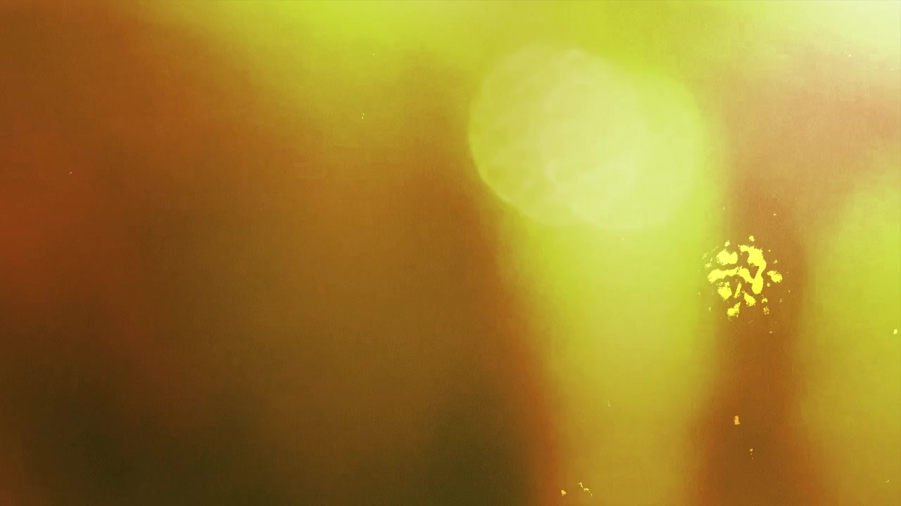 Abstract Light Leaks and Film Grain Overlay