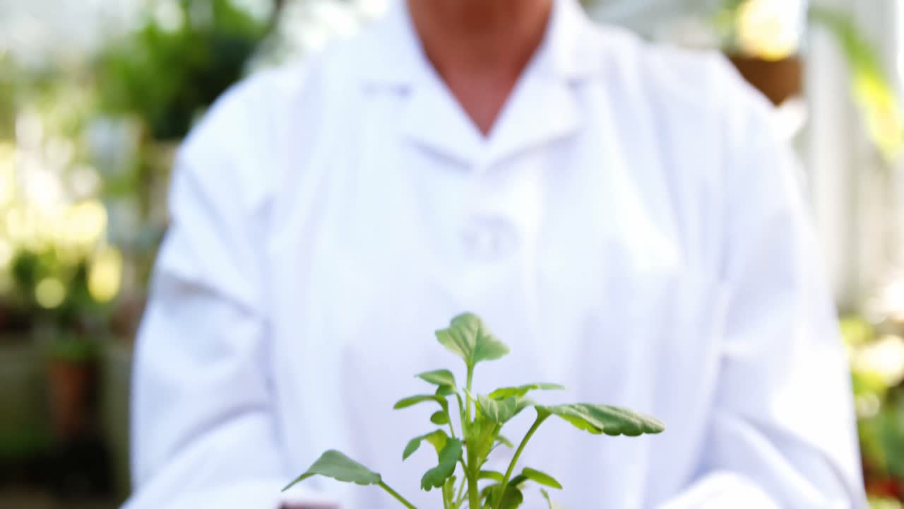 ⁇ 비 식물 을 들고 있는 여성 과학자