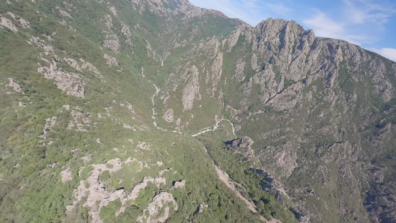 fotografía de buceo en fpv del famoso cañón y bosque de heric gorge