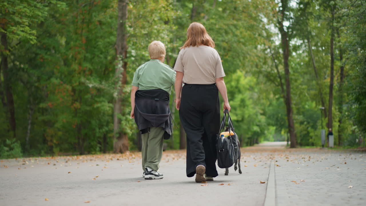 Child And Woman Walking Quietly, Woman And Child Ambling Through Peaceful Park Scene With Dog, Suitably Dressed Woman With Young Boy Walking Calmly On Treelined Pathway Carrying Backpacks