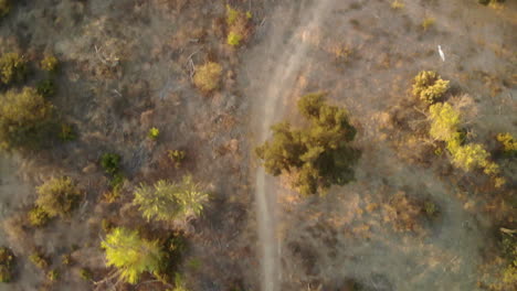 aerial shot of a pathway through dry dessert wildlife on a sunny day