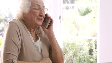 Ältere-Frau-Am-Telefon