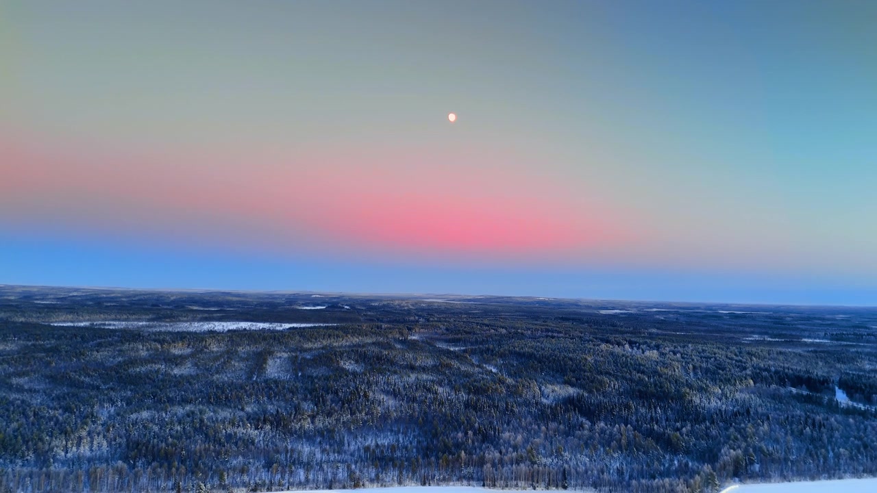 Måne over snedækket skov ved polardæmring, Lapland, Finland. Forhøjet udsigt over frostbelagte boreale træer, der strækker sig til bølgende bakker, fuldmåne synlig på en turkis og lyserød tusmørkehimmel