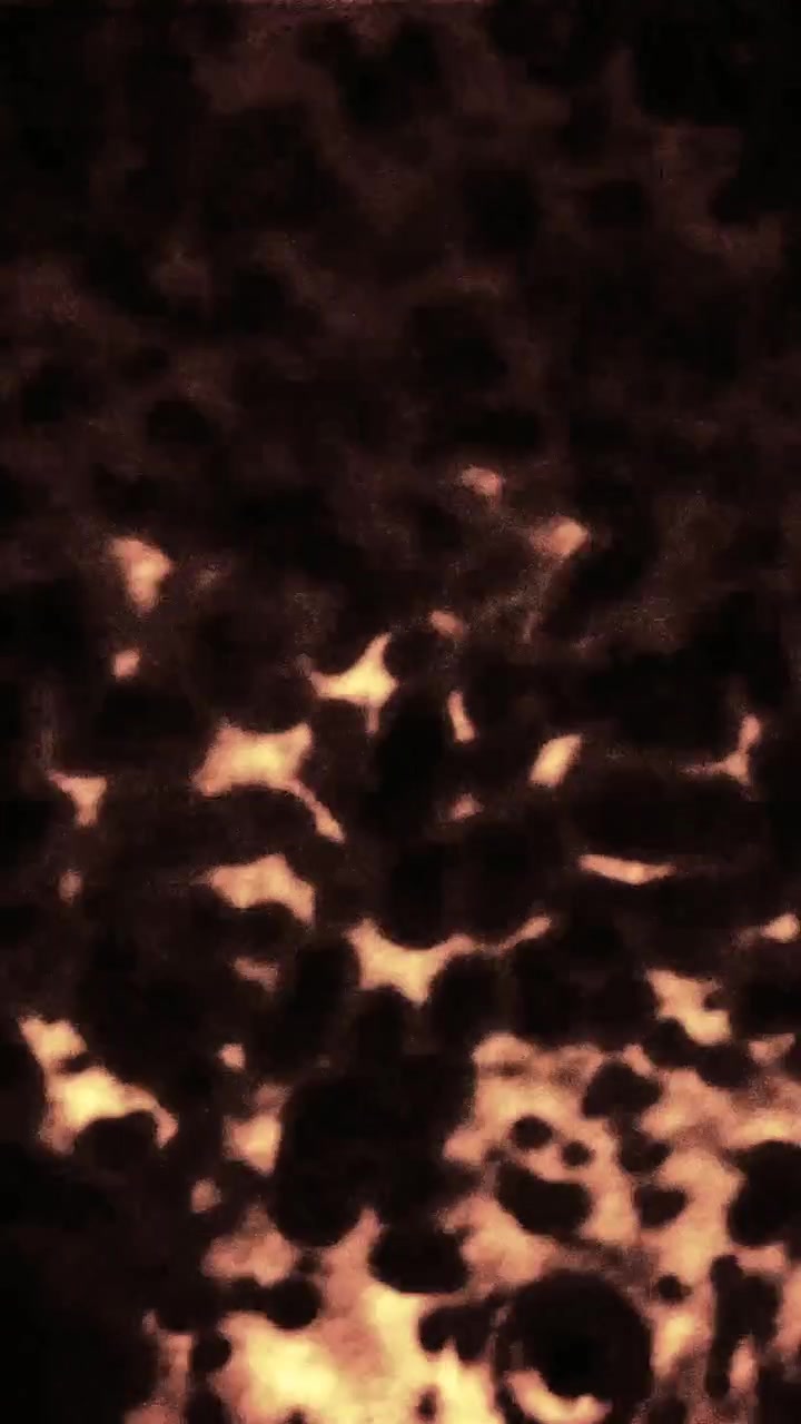 Abstract Light Patterns on Dark Background