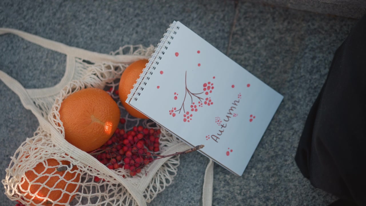 Quaderno autunnale e arance in una borsa a rete