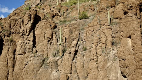 una toma de un dron que se eleva para mostrar cactus saguaro creciendo en un acantilado rocoso