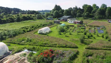 aerial establishing drone shot of small organic farmland plantation with greenhouses and cultivated crops, ecological sustainable agriculture