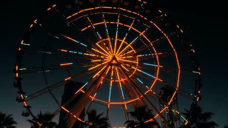 luces de la rueda gigante por la noche y palmeras