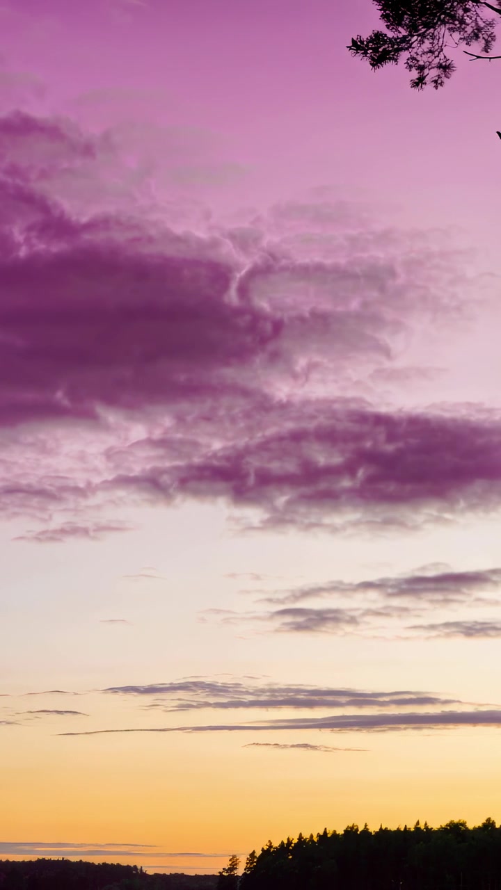 Video verticale: Nuvole stratificate che virano dal viola all'arancione al tramonto, con una scura linea di alberi e pini