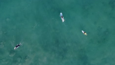 three surfers in the water separate and part ways