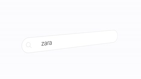 Zara-in-the-Search-Box
