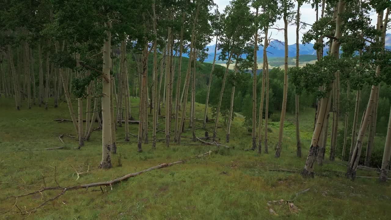 verano aeropuerto telluride colorado montañas rocosas avión no tripulado aéreo vista ridgway último dólar camino aspen árboles ranura bosque verde ouray silverton san juan monte sneffels gris nublado derecho movimiento
