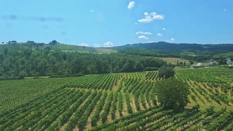 scenic views of vineyards and rural landscapes