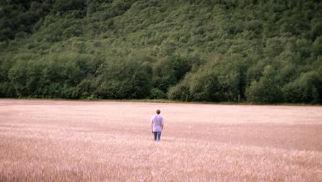 man walking on a beautiful meadow - grass field in norway with forest background