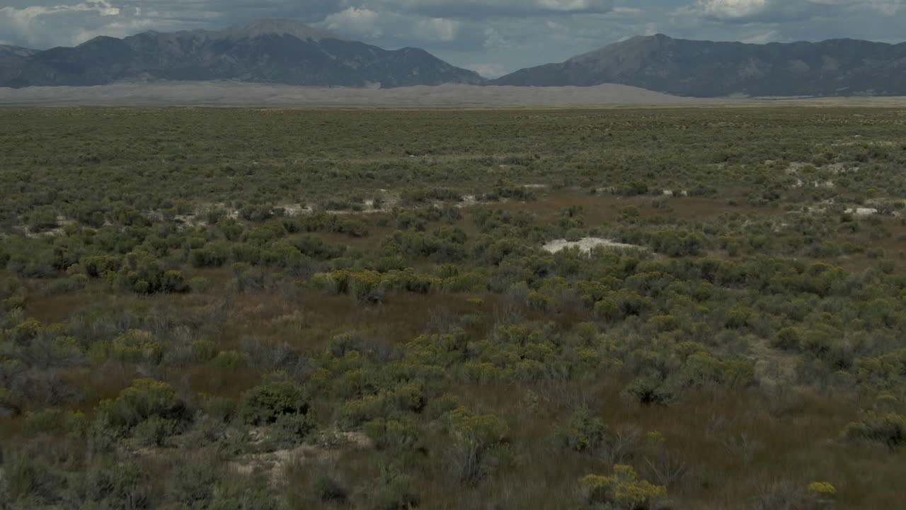 avión no tripulado cinematográfico de finales del verano vista de apertura entrada de las grandes dunas de arena parque nacional de colorado montaña rocosa 14er picos nítidos dorado amarillo alta hierba azul cielo nubes hacia adelante pan up