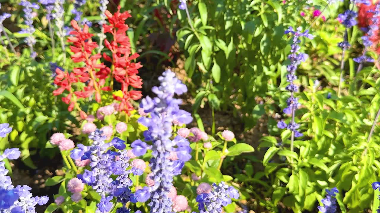 las flores de colores florecen en un jardín exuberante