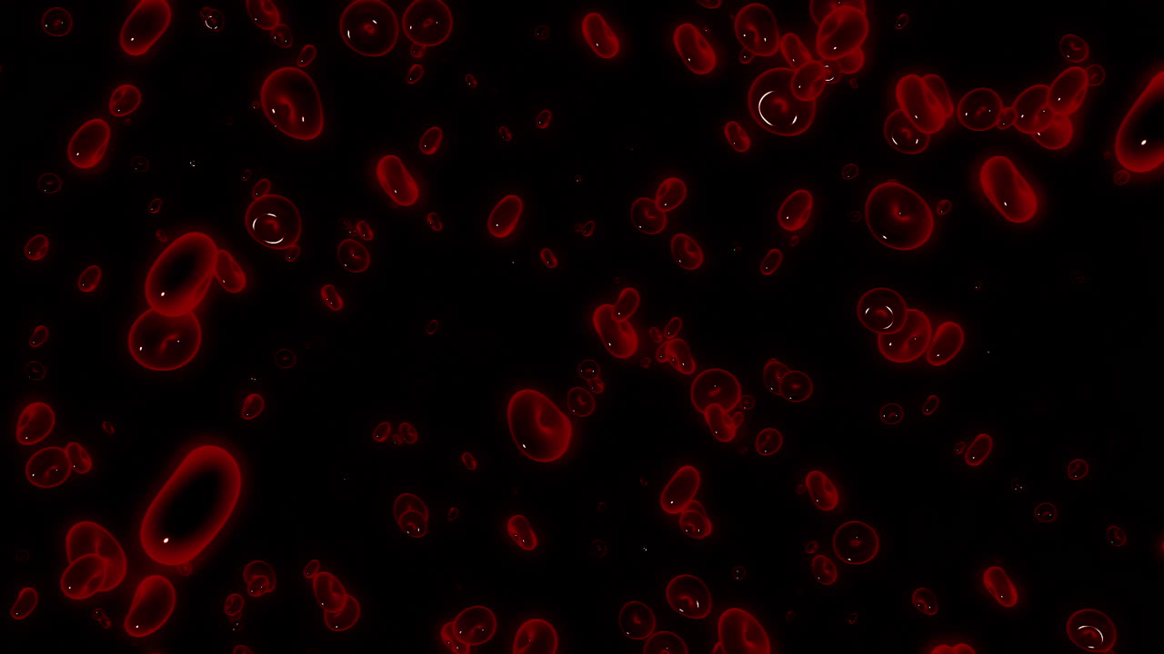 animación de los glóbulos rojos