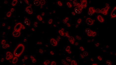 animación de los glóbulos rojos