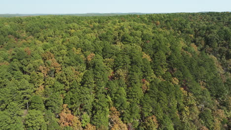 bosque caducifolio con follaje de otoño en la cueva de eagle hollow, arkansas, estados unidos