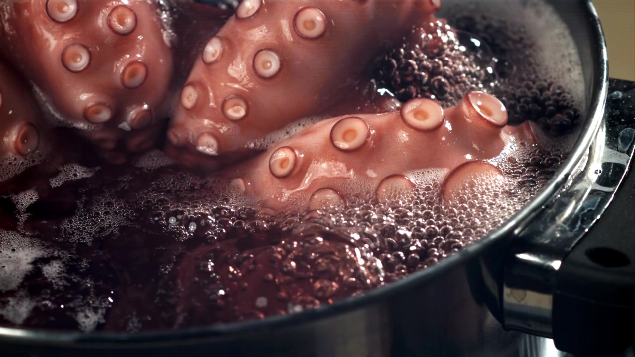 Primo piano: Tentacoli di polpo che bollono in una pentola.