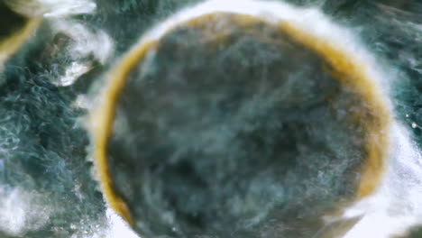 clear water flow runs down through drain hole in modern sink