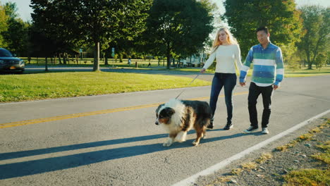 pareja paseando perro