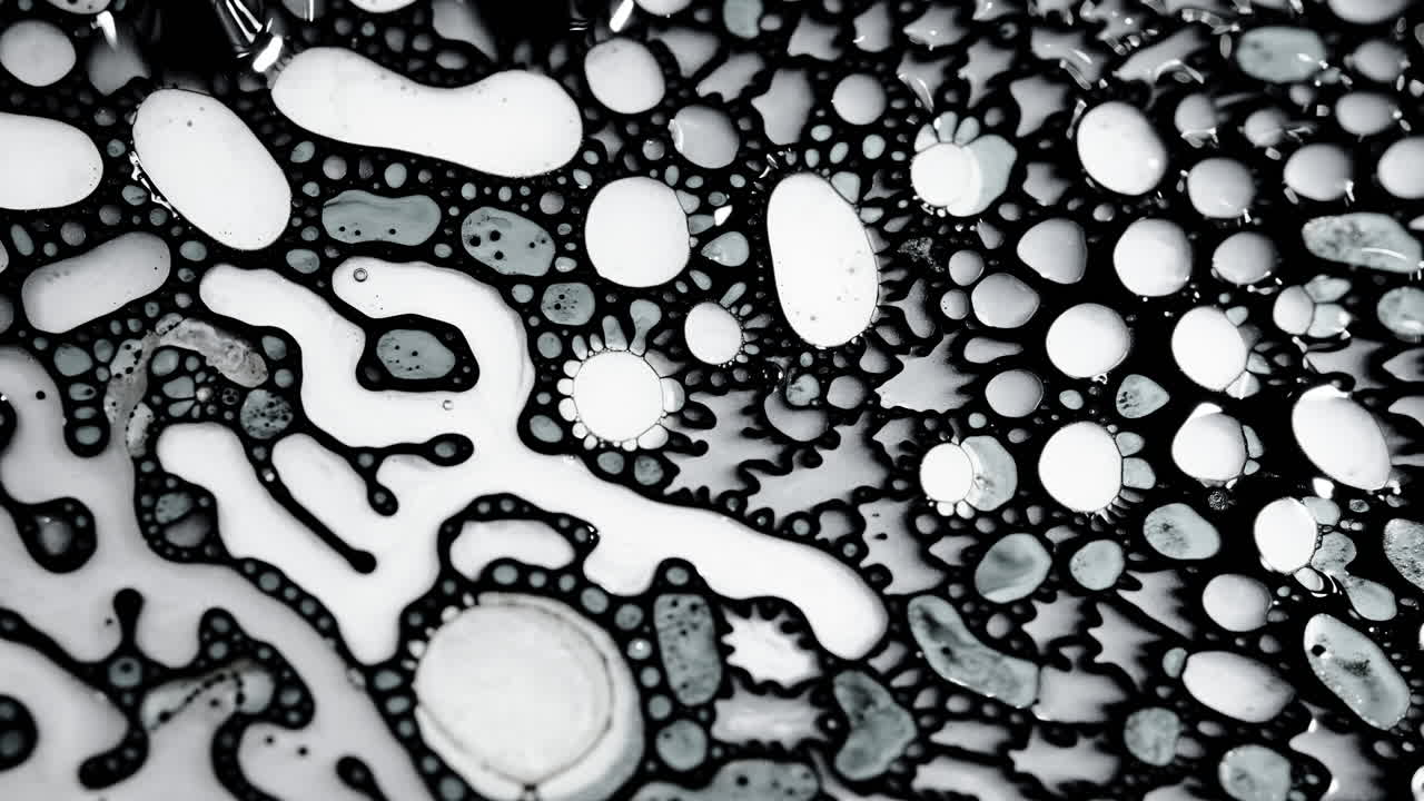 Abstract macro shot of black and white liquid mixing, creating organic fluid patterns