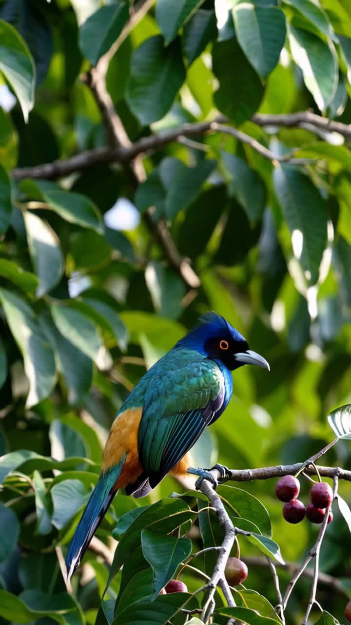 Colorful Bird Perched on a Berry Branch