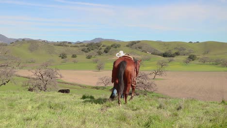 Conduciendo-Su-Caballo-Por-Las-Riendas,-El-Vaquero-Camina-Justo-En-Frente-De-La-Cámara