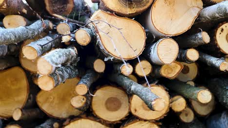 Stapel-Gefaltetes-Gehacktes-Holz.-Dynamische-Rotationsaufnahme